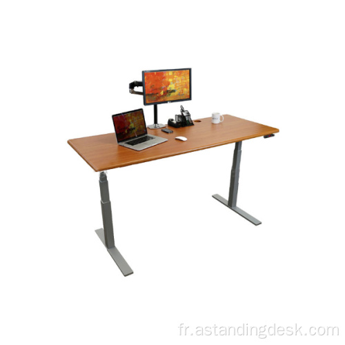 Bienvenue à l'enquête Price Dual Motor Adjustable Bureau